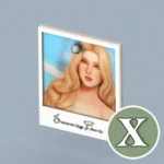 PETAL - Polaroid Photos & Corkboards