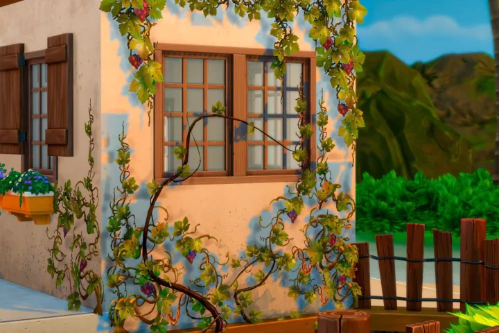 The grapevine