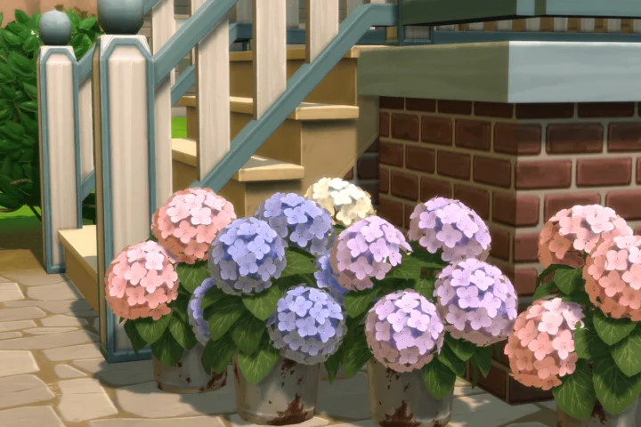 Rust and Royalty Hydrangea Bucket