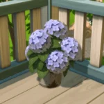 Rust and Royalty Hydrangea Bucket
