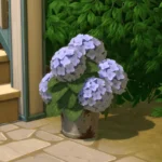 Rust and Royalty Hydrangea Bucket