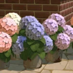 Rust and Royalty Hydrangea Bucket