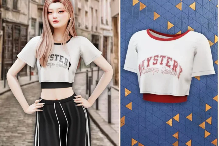 Mystery crop tee