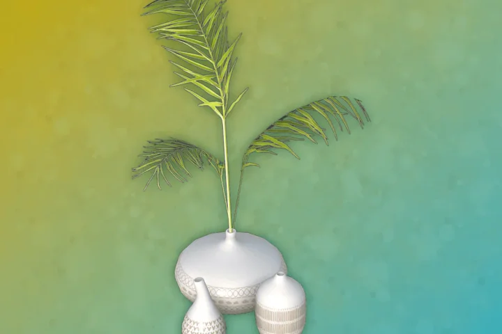 Marabor - Plant