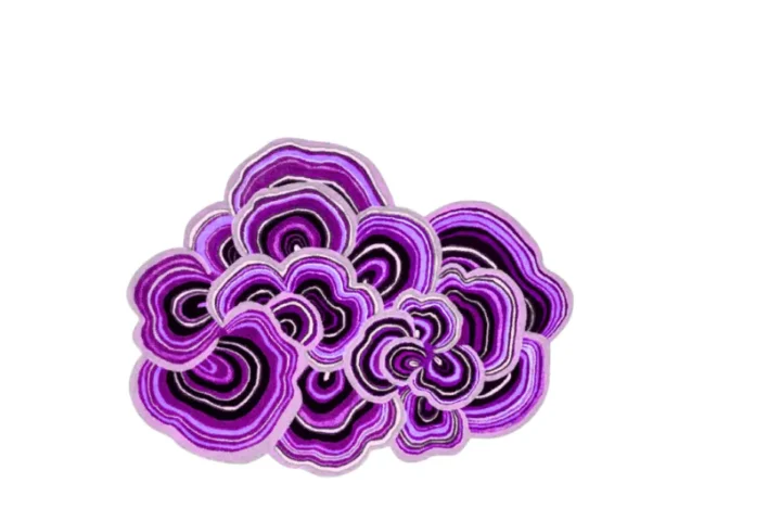 Purple Dreams Rug Set