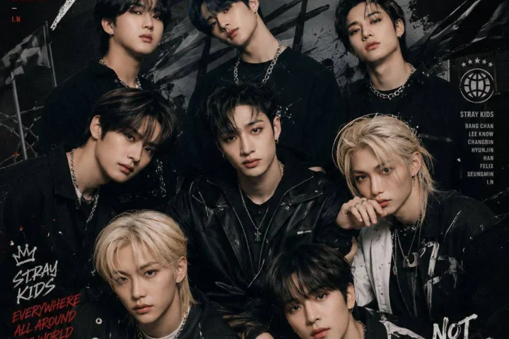 Stray Kids Poster Pack