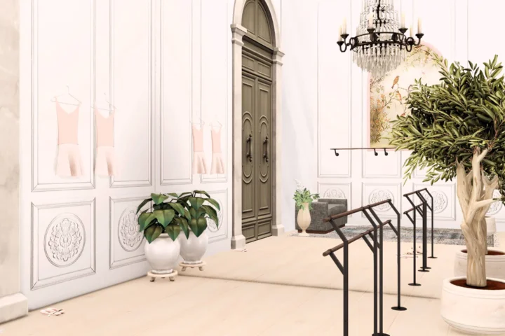 Camille Ballet Room