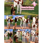 Close To Home Posepack