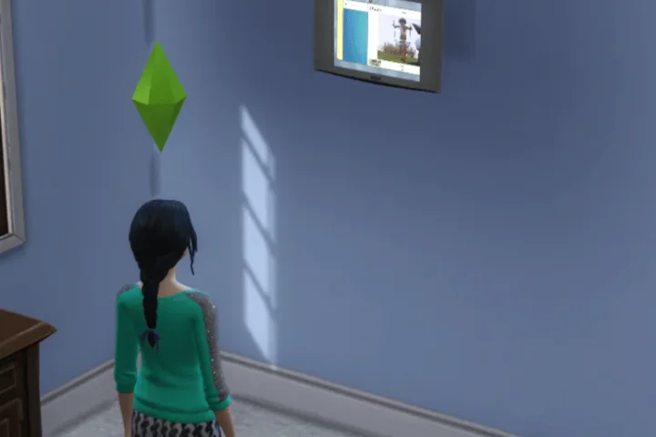 The Plasma TV