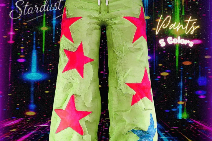 Chasing Stardust_Pants