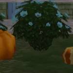 Decorative Pumpkins set of 2 - [Seasons Required]