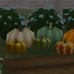 Decorative Pumpkins set of 2 - [Seasons Required]