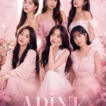 APINK Poster Pack