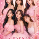 APINK Poster Pack