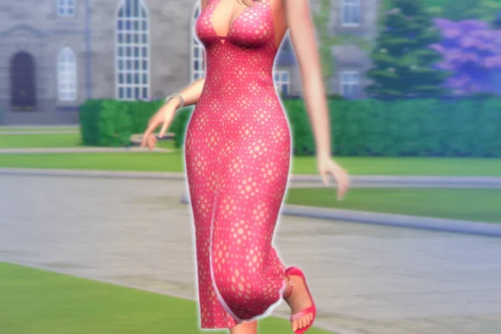Legally Blonde Collection