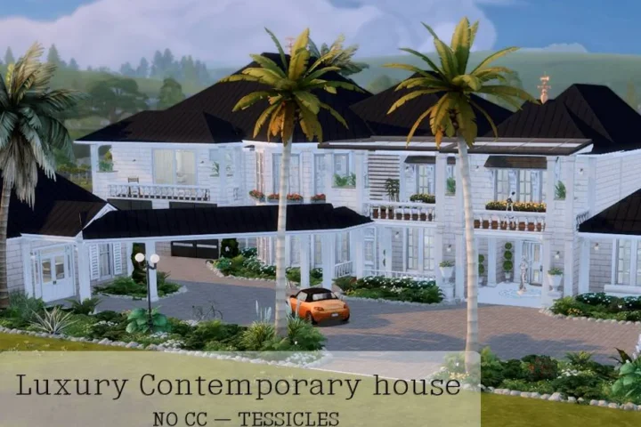 Luxury Contemporary house | No CC