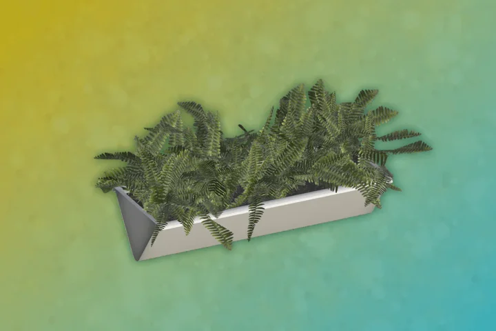 Marabor - Plant 2