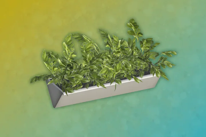 Marabor - Plant 3