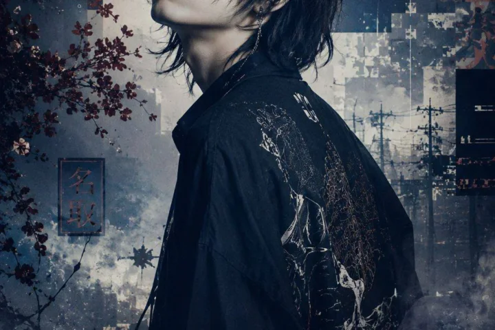 NATORI Poster Pack