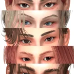 brows13-20
