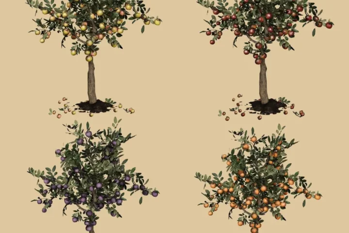 Elen Shine - Garden Tree