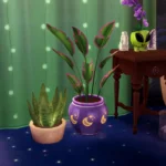 Palm Plant Duo