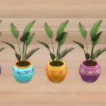 Palm Plant Duo