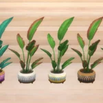 Palm Plant Duo