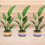 Palm Plant Duo