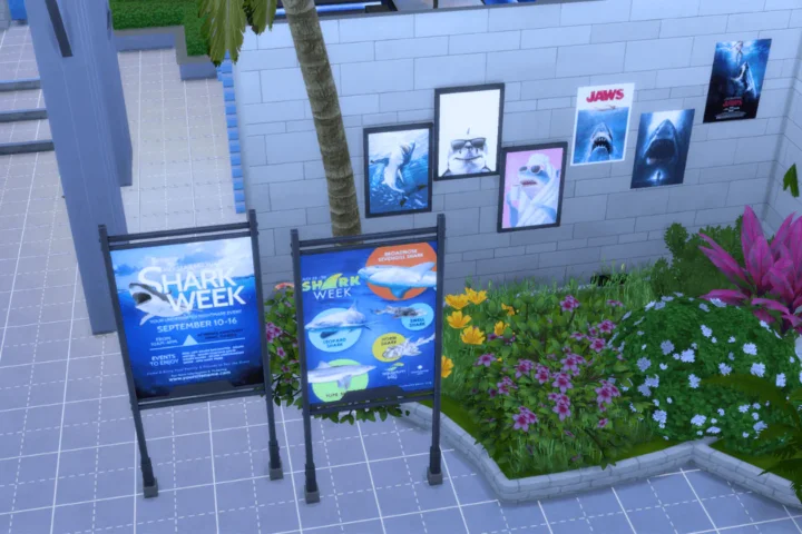 Shark Week Deco
