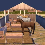 Shadow Ranch — Rawley Household