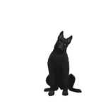 Tohru Honda Alt
