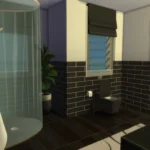 Bathroom - Ccs required!