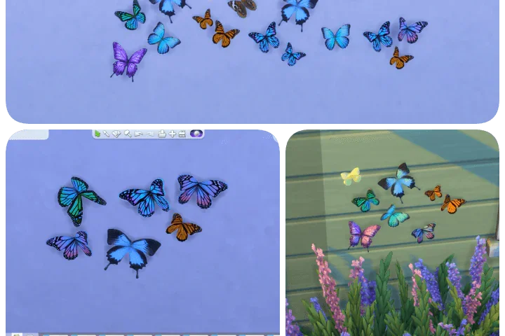 Butterfly Wall Decor Set
