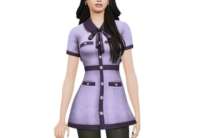 Tweed Dress