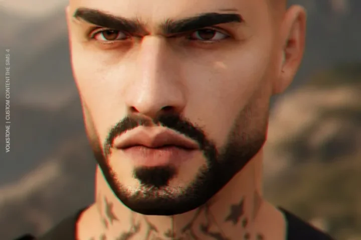 Volkstone - Facial Hair N14 - Fatpack