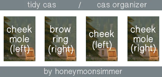 cas organizer by honeymoonsimmer 🌲