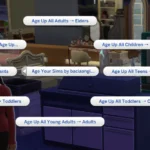 Age Your Sims