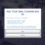 Age Your Sims