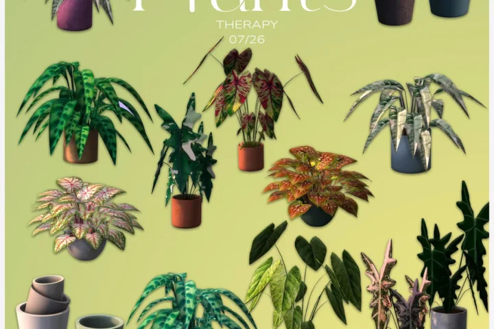 Plants therapy