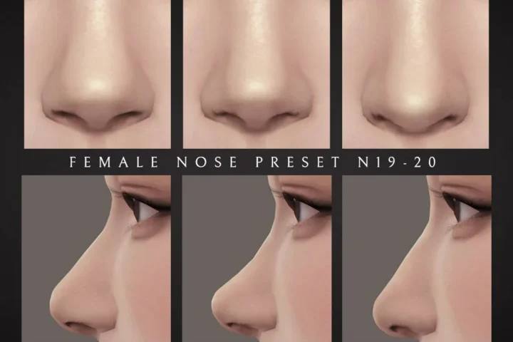 Female Nose Presets 19-21