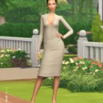 Housewives of Pleasantview Collection