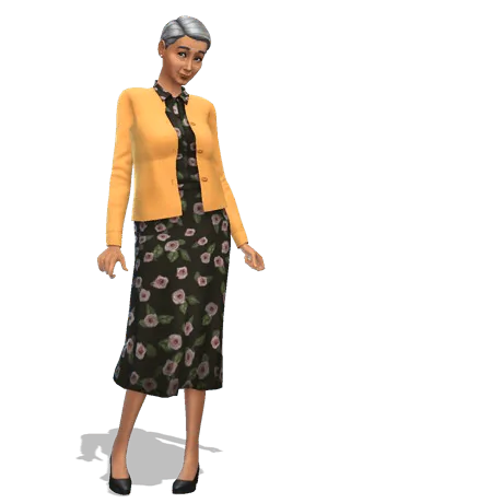 Elders base game styled looks