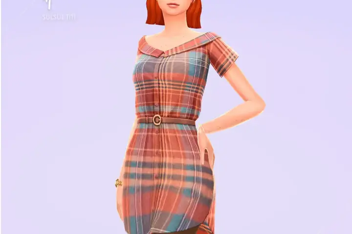 Woman Shirt Dress - Judith - Version 2