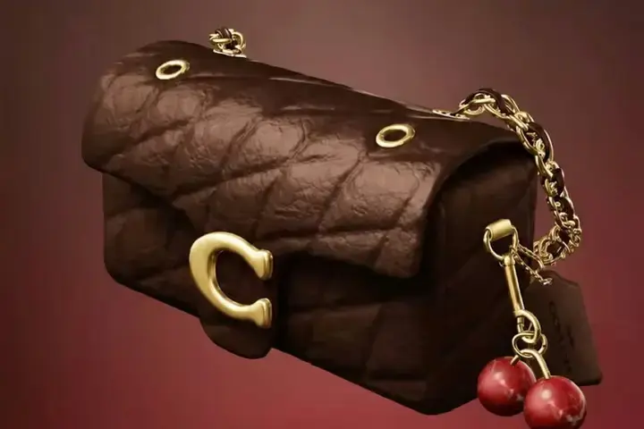 Сумка - Coach Cherry Bag
