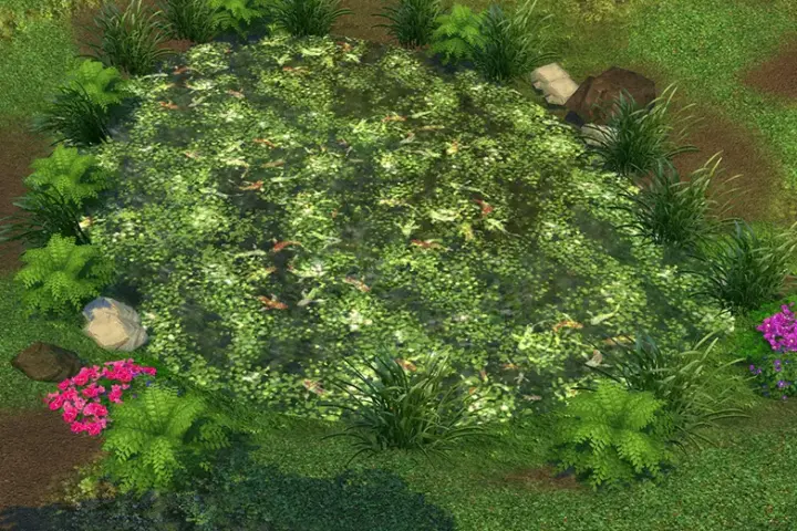 Water Overlay with Koi & Plants
