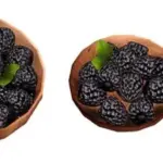 Summer Berries