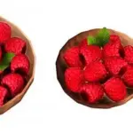 Summer Berries