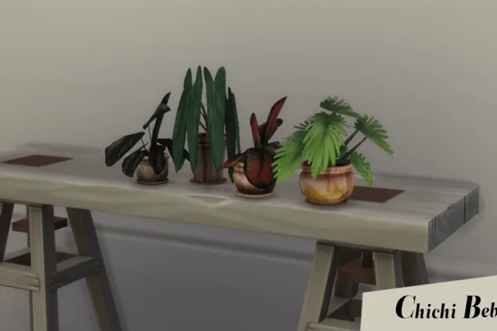 TerraFlora Baby plants collection