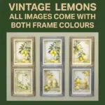 Light and Fruity Summer 2026 Build/Buy Bundle